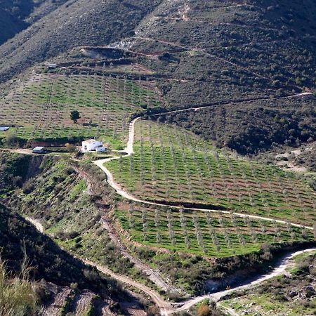 Вілла Cortijo El Rancho Albanchez Екстер'єр фото