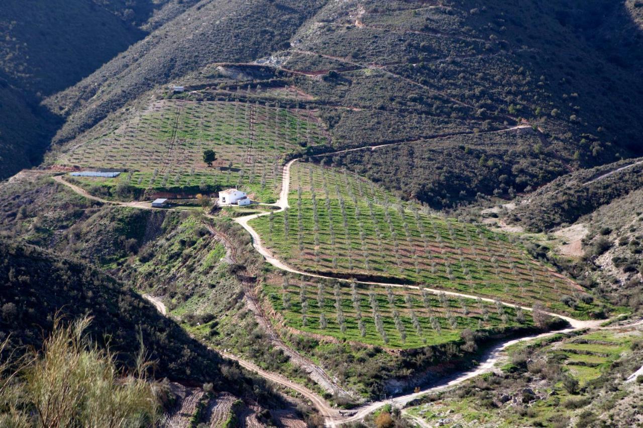 Вілла Cortijo El Rancho Albanchez Екстер'єр фото