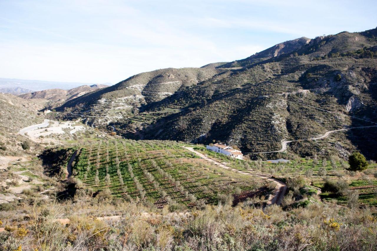 Вілла Cortijo El Rancho Albanchez Екстер'єр фото