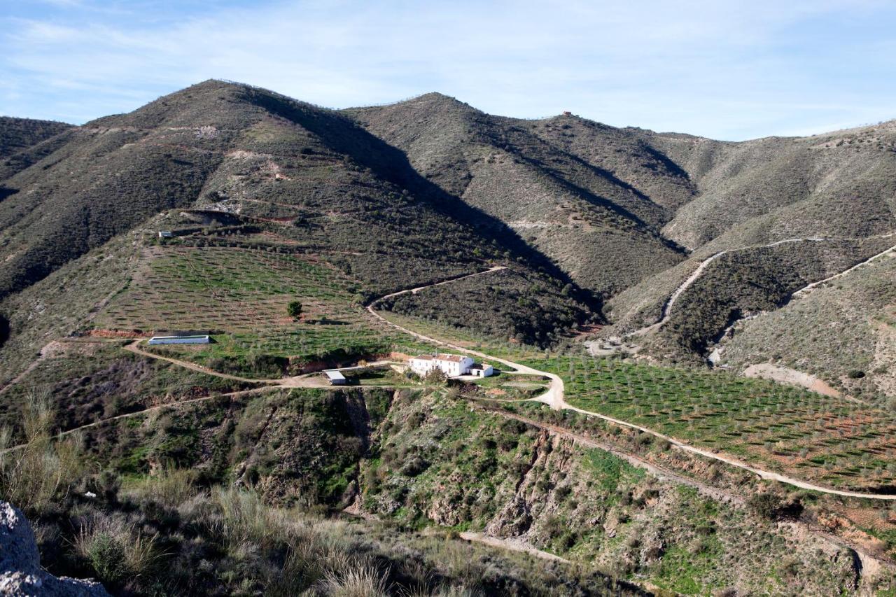 Вілла Cortijo El Rancho Albanchez Екстер'єр фото